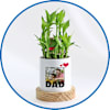 Plants
