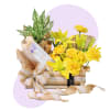 Floral Hampers