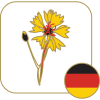 Send Flowers To Germany