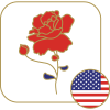 Send Flowers to USA