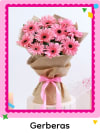 Gerberas Flowers Online