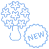 New Arrival Flowers