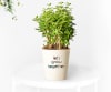 Nurturing Plants by Personality