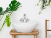 Plants for Bathroom Online
