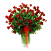 100 Red Roses in Vase Online