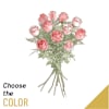 11 Roses Medium Stem Online