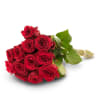 12 medium stemmed roses Online