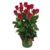 12 Red Roses In Vase Online