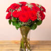 12 Red Roses With Gypsophilia Online