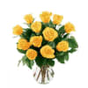 12 Yellow Roses in a gift wrap Online
