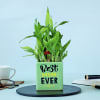 2 Layer Bamboo Plant In Best Mom Ever Ceramic Planter Online