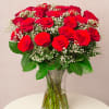 24 Red Roses & Gypsophila Online