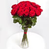 Gift 25 medium stemmed roses