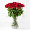 25 roses medium stemmed Online