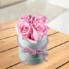 4 light pink roses in a hat box Online