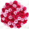 50 Stem Pink & Red Roses Online