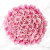 50 Stem Pink Roses Online