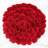 50 Stem Red Roses Online