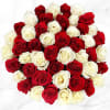 50 Stem Red & White Roses Online
