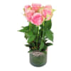 6 Pink Roses In Vase Online