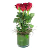 6 Red Roses in Vase Online