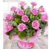 A Dozen Pale Pink Roses Online