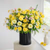 Shop A Vibrant Purity