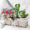 Gift A Walk in the Garden Basket