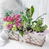 A Walk in the Garden Basket Online