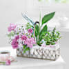 Gift A Walk in the Garden Basket