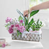 Buy A Walk in the Garden Basket