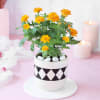 Gift A Zinnia Tale for Mom