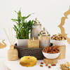 Acies Diwali hamper Online