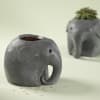 Adorable Elephant Resin Planter - Without Plant Online