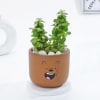 Gift Adorable Teddy Terracotta Planter And Jade Plant