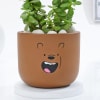 Buy Adorable Teddy Terracotta Planter And Jade Plant