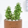 Shop Adorable Teddy Terracotta Planter And Jade Plant