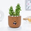 Adorable Teddy Terracotta Planter And Jade Plant Online