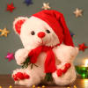 Adorable White Teddy with Red Cap Online