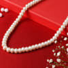 Buy Aesthetic Pearl Necklace