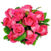 Affection - 12 pink roses Online