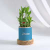 Gift Ageing With Grace - Personalized 2-Layer Bamboo Plant With Pot