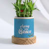 Buy Ageing With Grace - Personalized 2-Layer Bamboo Plant With Pot