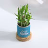 Shop Ageing With Grace - Personalized 2-Layer Bamboo Plant With Pot