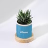 Buy Ageing With Grace - Personalized Haworthia Succulent With Pot