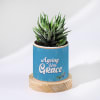 Ageing With Grace - Personalized Haworthia Succulent With Pot Online