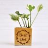 Gift Air Purifying Money Plant in Best Dad Customized Ceramic Pot (Low Light/Moderate Water)