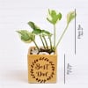 Shop Air Purifying Money Plant in Best Dad Customized Ceramic Pot (Low Light/Moderate Water)