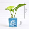 Shop Air Purifying Money Plant in Personalized Dad Special Ceramic Pot (Moderate Light/More Water)