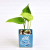 Air Purifying Money Plant in Personalized Dad Special Ceramic Pot (Moderate Light/More Water) Online